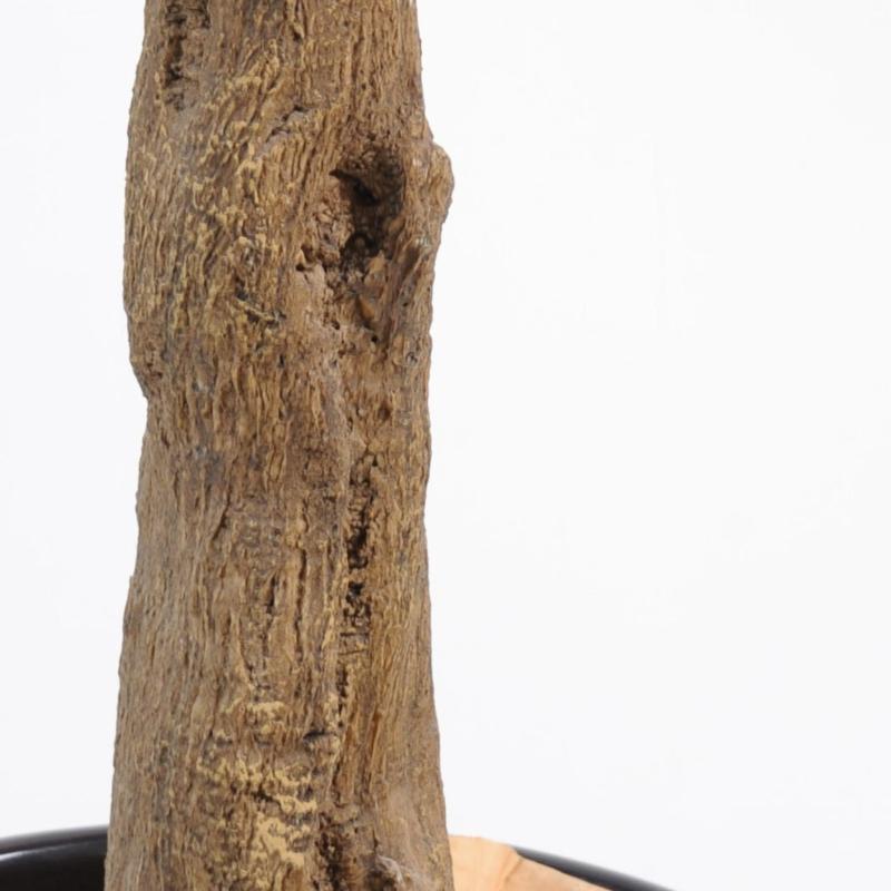 Oranger Artificiel Arbre