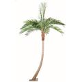 Coconut Artificiel Courbe NEW