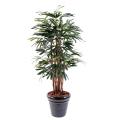Palmier Artificiel Rhapis Lady