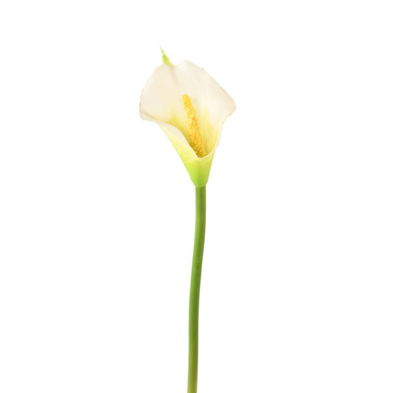 Arum (arome) Artificiel