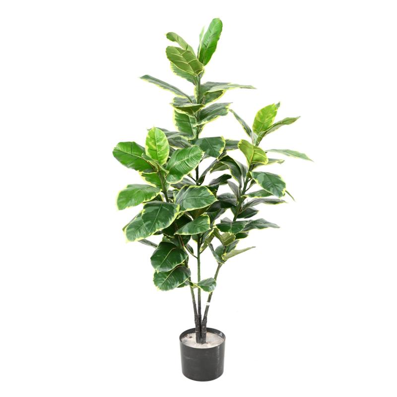 Rubber TREE Artificiel