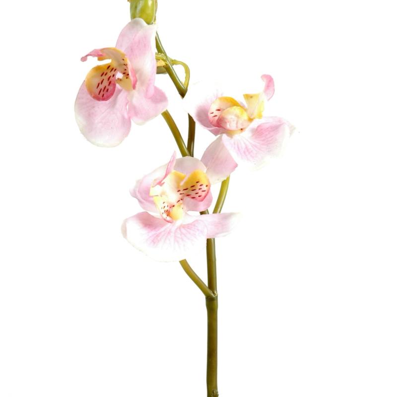 Phalaenopsis Artificielle S
