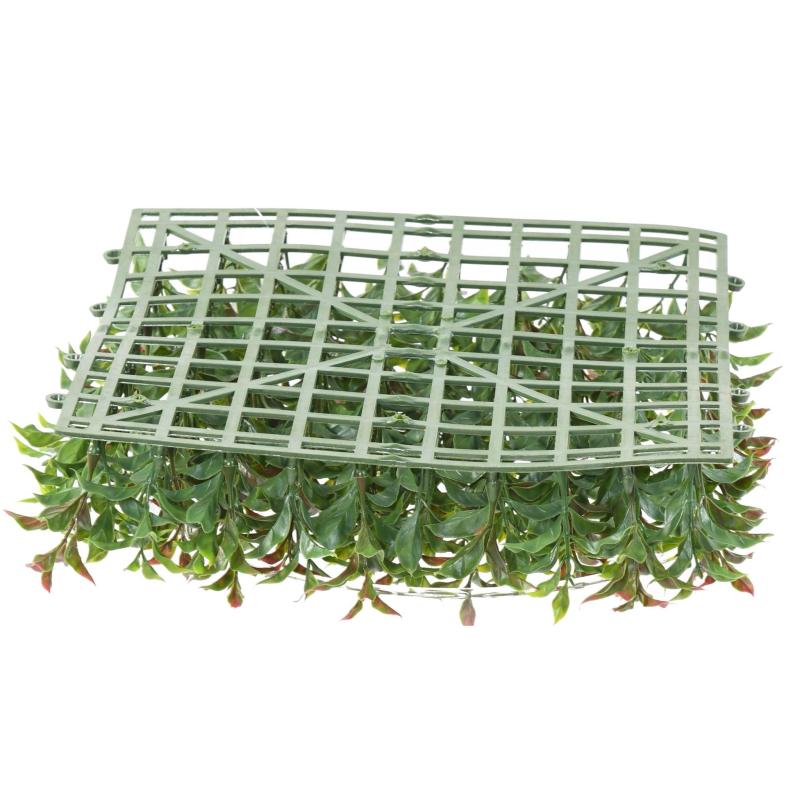 Ruscus Plaque